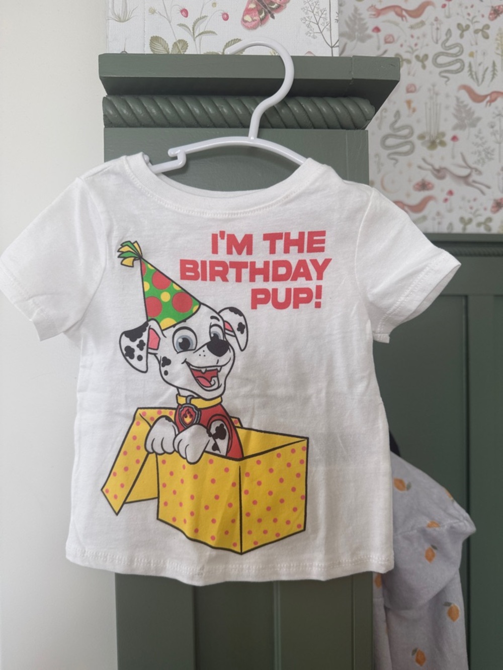 BNWT Paw Patrol Birthday Pup shirt